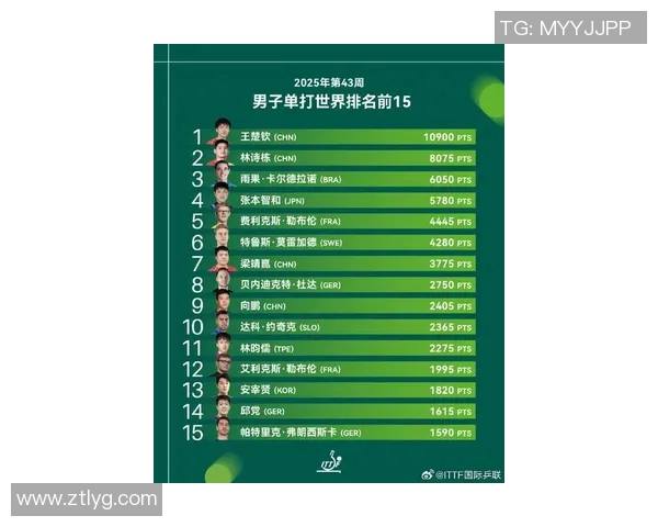 官方发布最新体育明星排名表揭示运动员实力与影响力的全新视角
